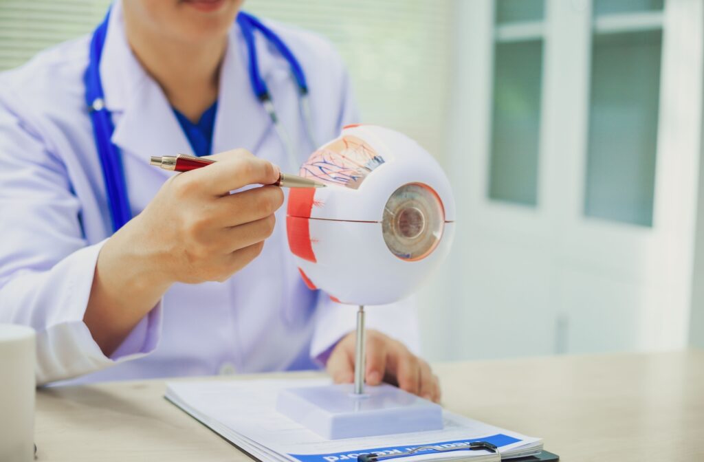 An eye doctor shows how diabetic retinopathy can affect their patient's eye on a 3D model.